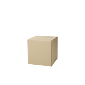 Caixa Standard 20x20x25cm